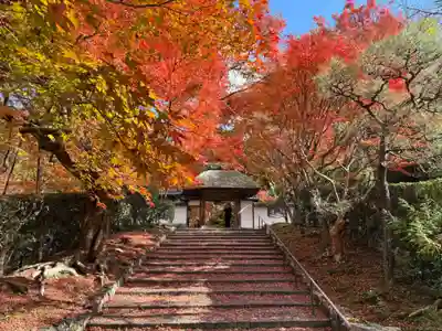安楽寺(京都府)