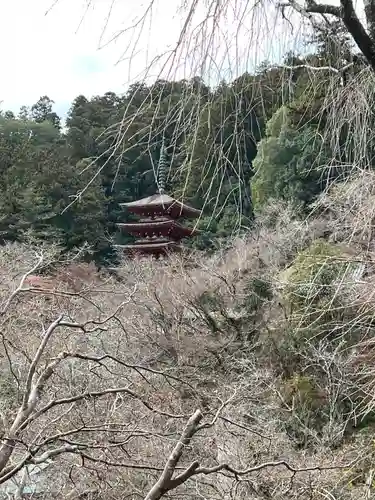 長谷寺(奈良県)