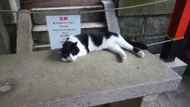 伏見稲荷大社の動物