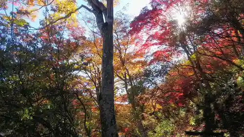 鳥居観音の景色