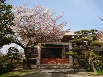 常徳寺の本殿・本堂