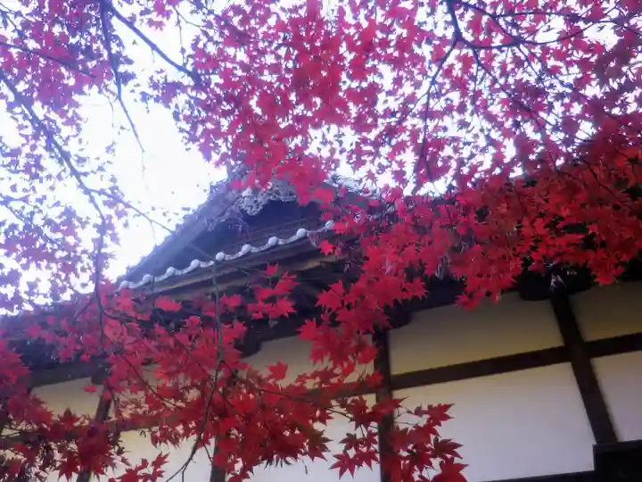 浄光明寺の自然