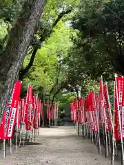 住吉大社(大阪府)