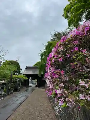 禅昌寺(宮城県)