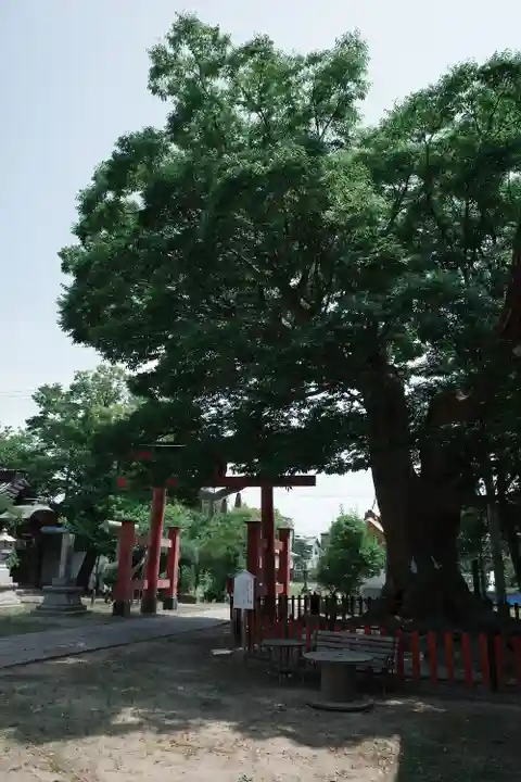 曽根神社の自然