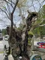 如意輪寺(和歌山県)