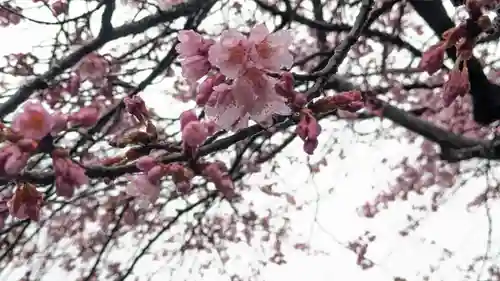 知恩院(京都府)