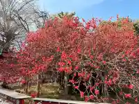 冠稲荷神社の{uncategorized: "未分類", other: "その他", undefined: "問題あり", building: "その他建物", grave: "お墓", sacred_gate: "鳥居", guardian: "狛犬", statue: "像", buddha: "仏像", history: "歴史", nature: "自然", garden: "庭園", animal: "動物", pagoda: "塔", temizu: "手水舎", mountain_gate: "山門・神門", sanctuary: "本殿・本堂", subordinate: "末社・摂社", art: "芸術", scenery: "景色", jizo: "地蔵", ema: "絵馬", goshuin: "御朱印", omikuji: "おみくじ", items: "授与品その他", amulet: "お守り", goshuincho: "御朱印帳", eats: "食事", festival: "お祭り", votive_dance: "神楽", shichigosan: "七五三参", wedding: "結婚式", experience: "体験その他", initially: "初詣", around: "周辺", anti_infection: "感染症対策"}