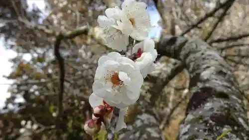 櫃蔵神社(兵庫県)