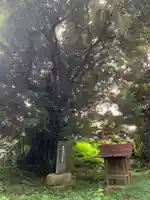 貴舟神社(千葉県)