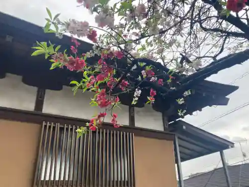 土橋観音堂(神奈川県)