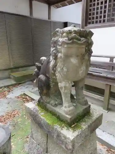 白髭神社の狛犬