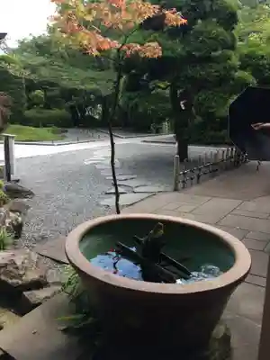 報国寺のその他建物