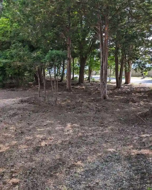 上富良野神社の自然
