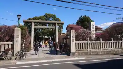 小村井 香取神社の鳥居