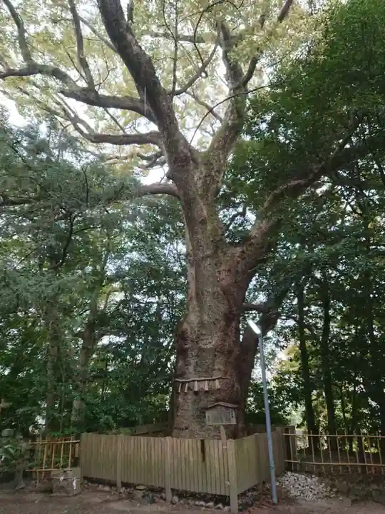 船江上社のその他建物