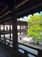 知恩院(京都府)