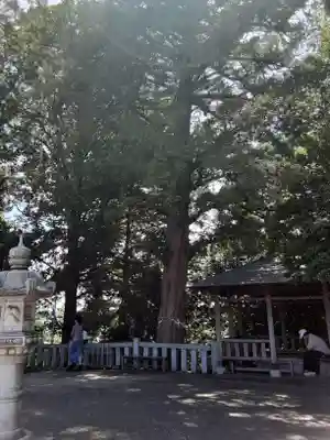 神鳥前川神社(神奈川県)