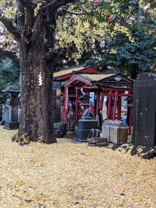 花園神社(東京都)