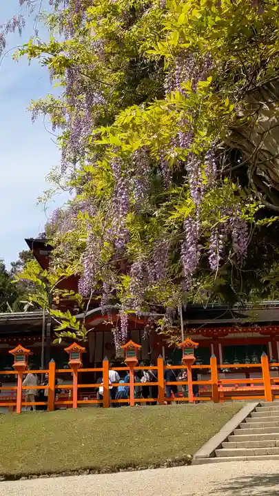 春日大社(奈良県)