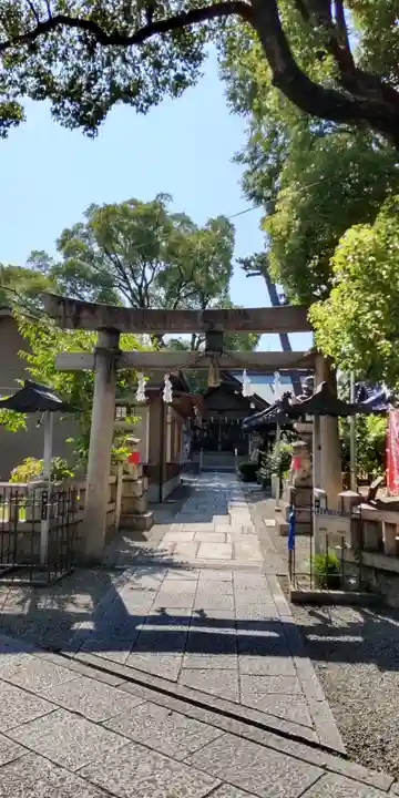 大鳥羽衣濱神社(大阪府)