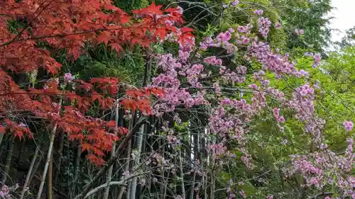谷ヶ堂最福寺（延朗堂)(京都府)