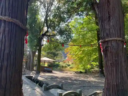 鳩ヶ嶺八幡宮の建物その他