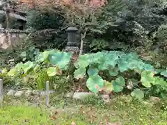 十禅律院(和歌山県)