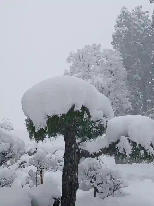白狐山光星寺(山形県)