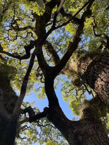 晴明神社(京都府)