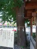 庚申神社(埼玉県)