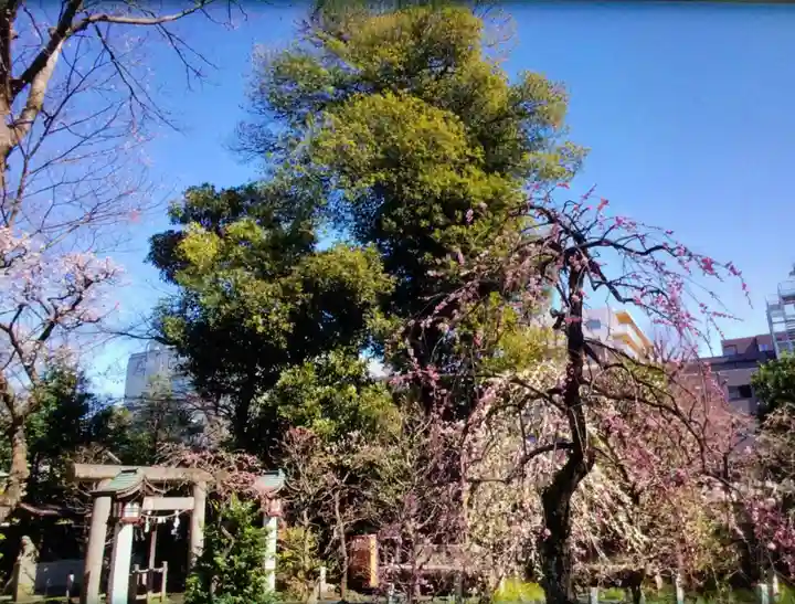 布多天神社(東京都)