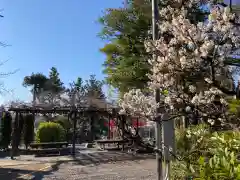 東伏見稲荷神社の建物その他