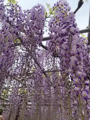 龍城神社(愛知県)