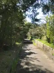 長浜神社の建物その他