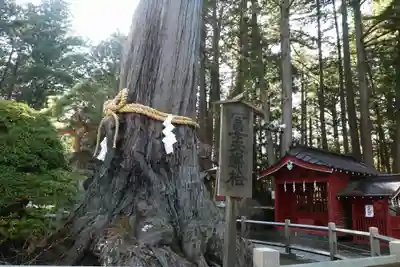 北口本宮冨士浅間神社(山梨県)