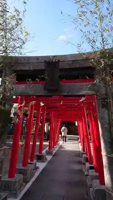 妙法稲荷神社の鳥居