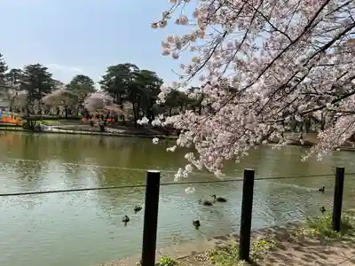 埼玉縣護國神社(埼玉県)