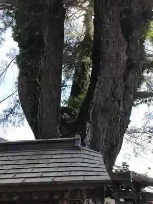 常楽寺のその他建物