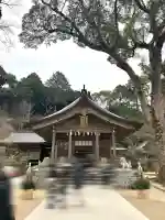 宝満宮竈門神社の{uncategorized: "未分類", other: "その他", undefined: "問題あり", building: "その他建物", grave: "お墓", sacred_gate: "鳥居", guardian: "狛犬", statue: "像", buddha: "仏像", history: "歴史", nature: "自然", garden: "庭園", animal: "動物", pagoda: "塔", temizu: "手水舎", mountain_gate: "山門・神門", sanctuary: "本殿・本堂", subordinate: "末社・摂社", art: "芸術", scenery: "景色", jizo: "地蔵", ema: "絵馬", goshuin: "御朱印", omikuji: "おみくじ", items: "授与品その他", amulet: "お守り", goshuincho: "御朱印帳", eats: "食事", festival: "お祭り", votive_dance: "神楽", shichigosan: "七五三参", wedding: "結婚式", experience: "体験その他", initially: "初詣", around: "周辺", anti_infection: "感染症対策"}