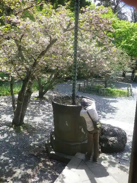 妙本寺のその他建物