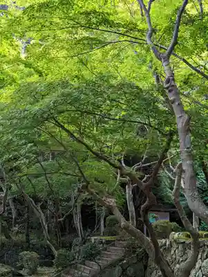 勝持寺（花の寺）(京都府)