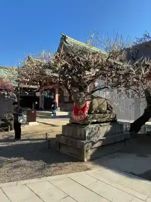 北野天満宮の{uncategorized: "未分類", other: "その他", undefined: "問題あり", building: "その他建物", grave: "お墓", sacred_gate: "鳥居", guardian: "狛犬", statue: "像", buddha: "仏像", history: "歴史", nature: "自然", garden: "庭園", animal: "動物", pagoda: "塔", temizu: "手水舎", mountain_gate: "山門・神門", sanctuary: "本殿・本堂", subordinate: "末社・摂社", art: "芸術", scenery: "景色", jizo: "地蔵", ema: "絵馬", goshuin: "御朱印", omikuji: "おみくじ", items: "授与品その他", amulet: "お守り", goshuincho: "御朱印帳", eats: "食事", festival: "お祭り", votive_dance: "神楽", shichigosan: "七五三参", wedding: "結婚式", experience: "体験その他", initially: "初詣", around: "周辺", anti_infection: "感染症対策"}