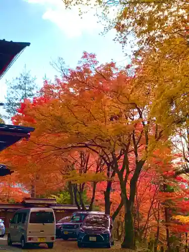 日枝神社の自然