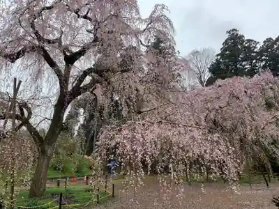 福星寺(千葉県)