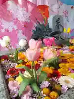 札幌諏訪神社の手水舎