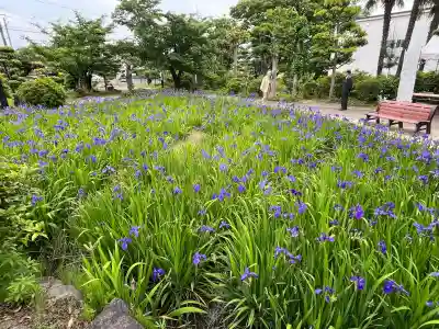 無量寿寺(愛知県)