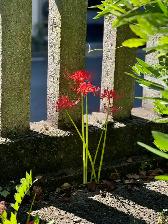 若宮神明社(愛知県)