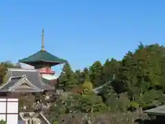 成田山新勝寺の景色