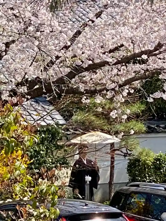 妙蓮寺(京都府)